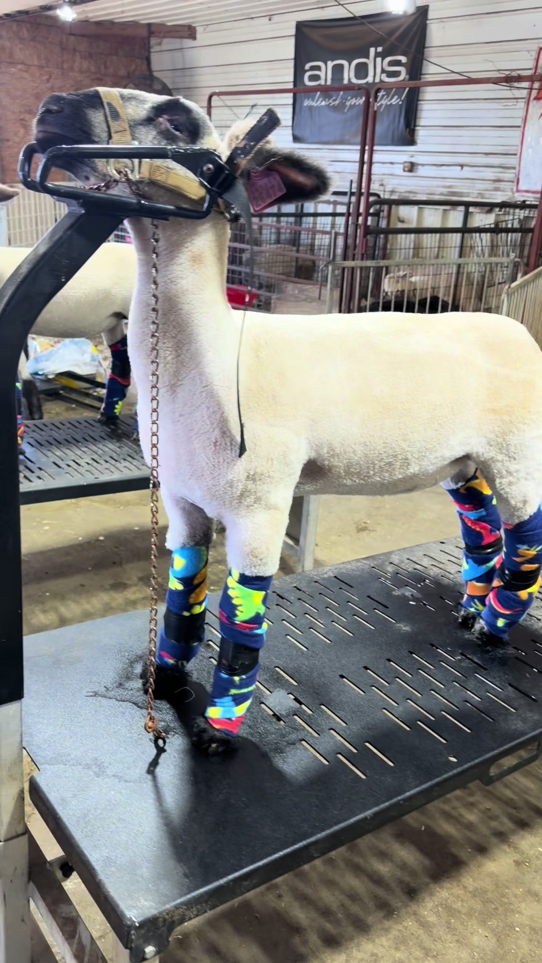 @ET Livestock
