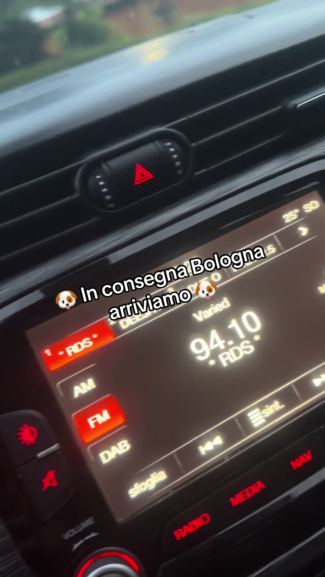 @DonatoBulldogFranceseCuccioli