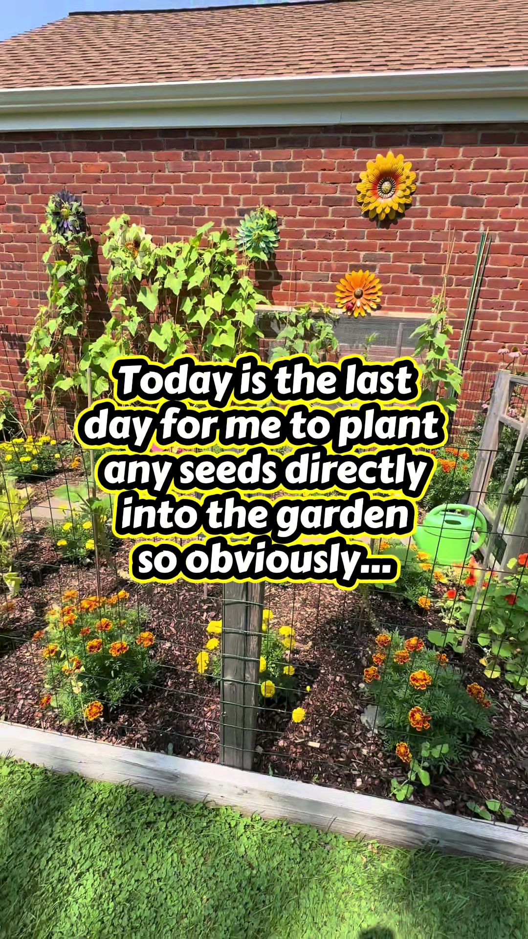 @Kim’s Happy Homestead 🌱