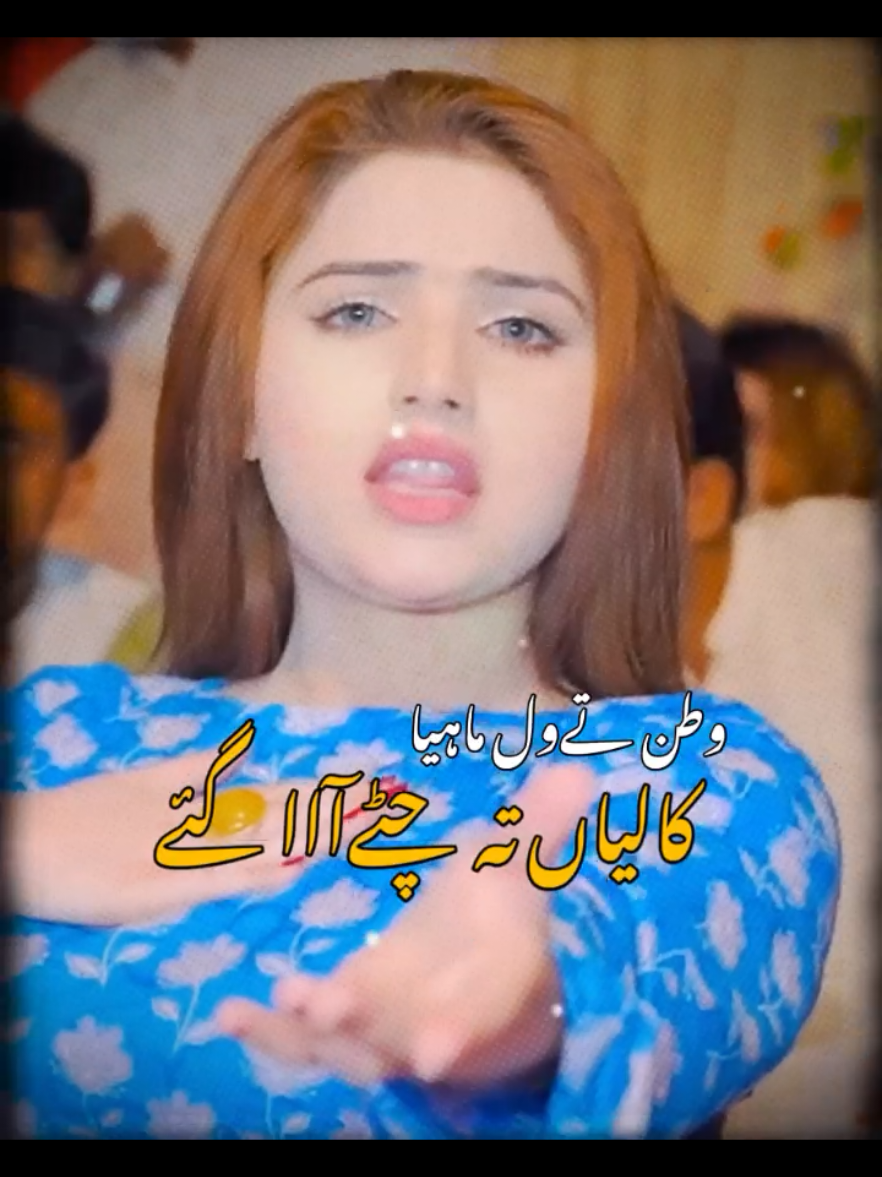 @Gill Graphy 174