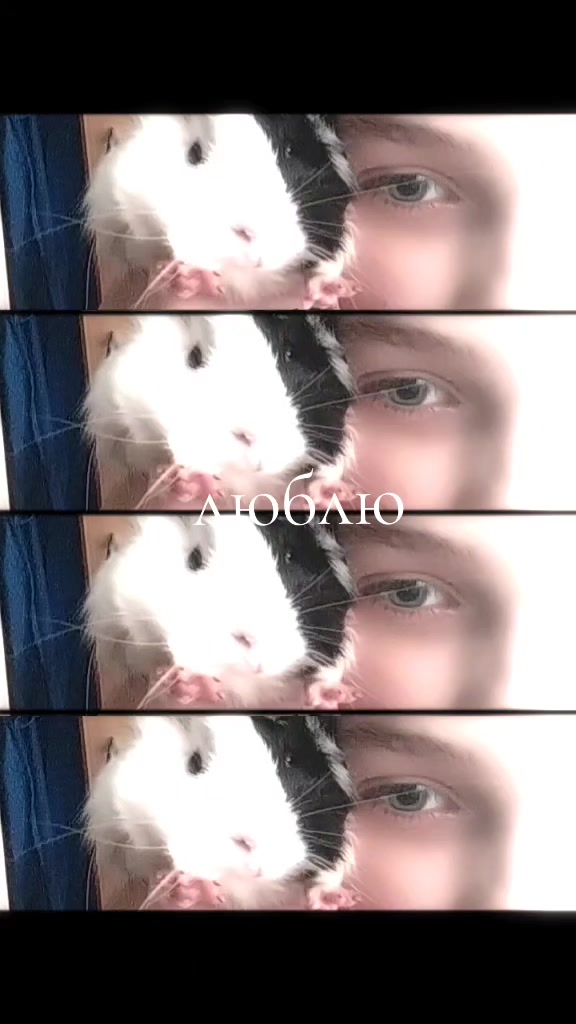 @🌺~여름~🍥