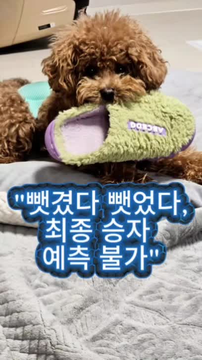 @백서현218