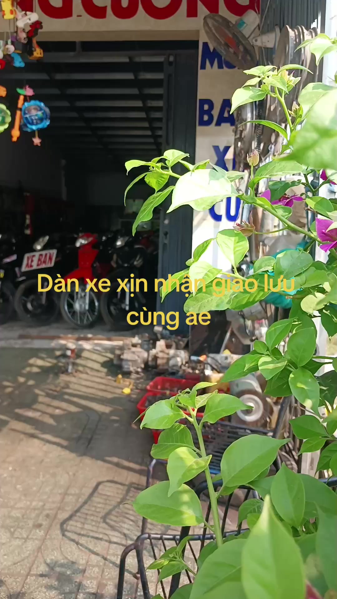 @CKP
