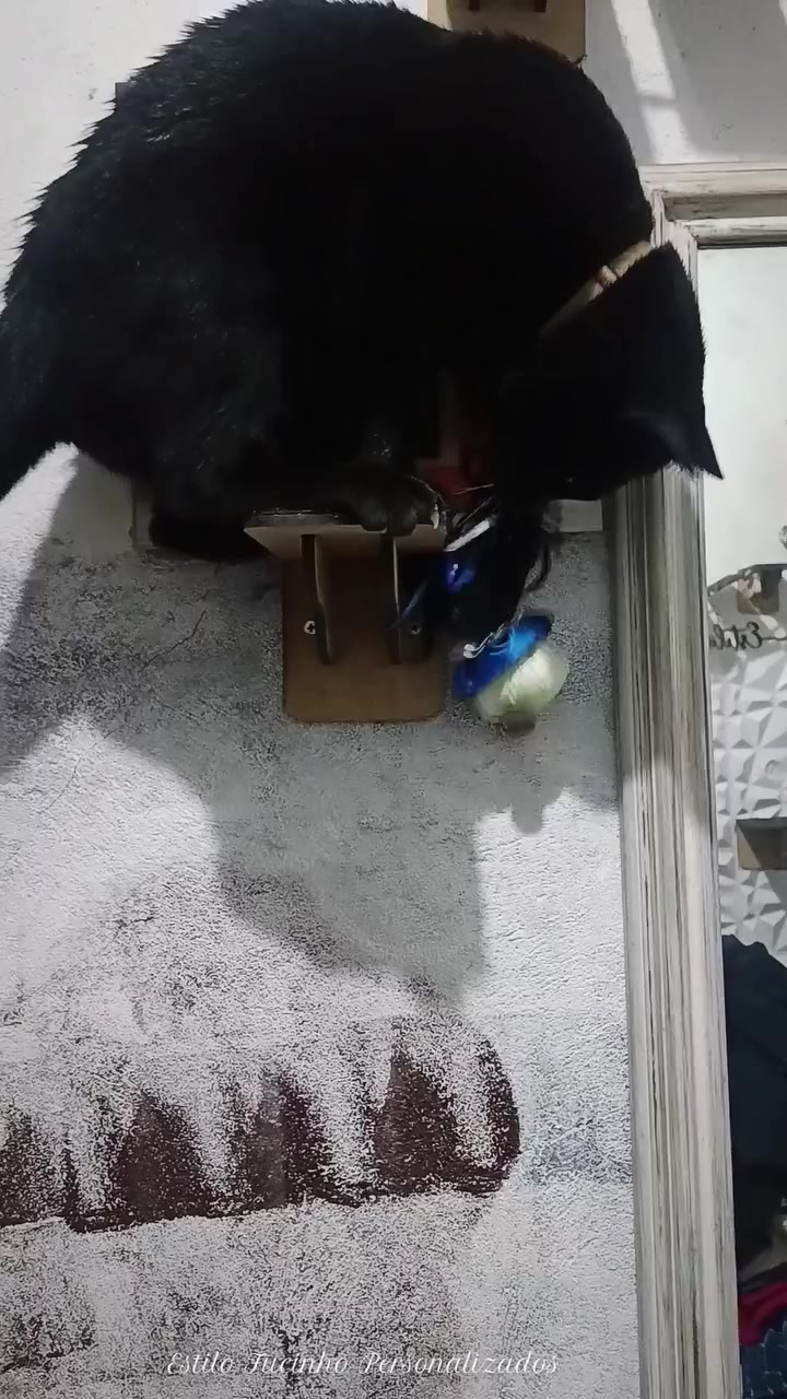 @Estilo Fucinho😻Personalizados