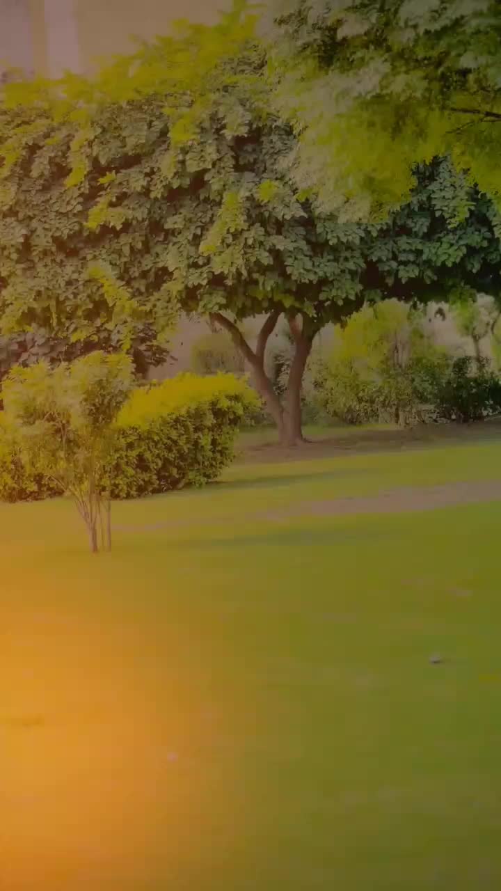 @faizanmalikofficial