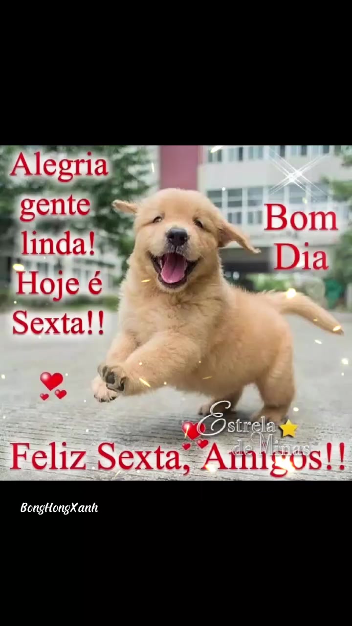 @Opoetabeijaflor