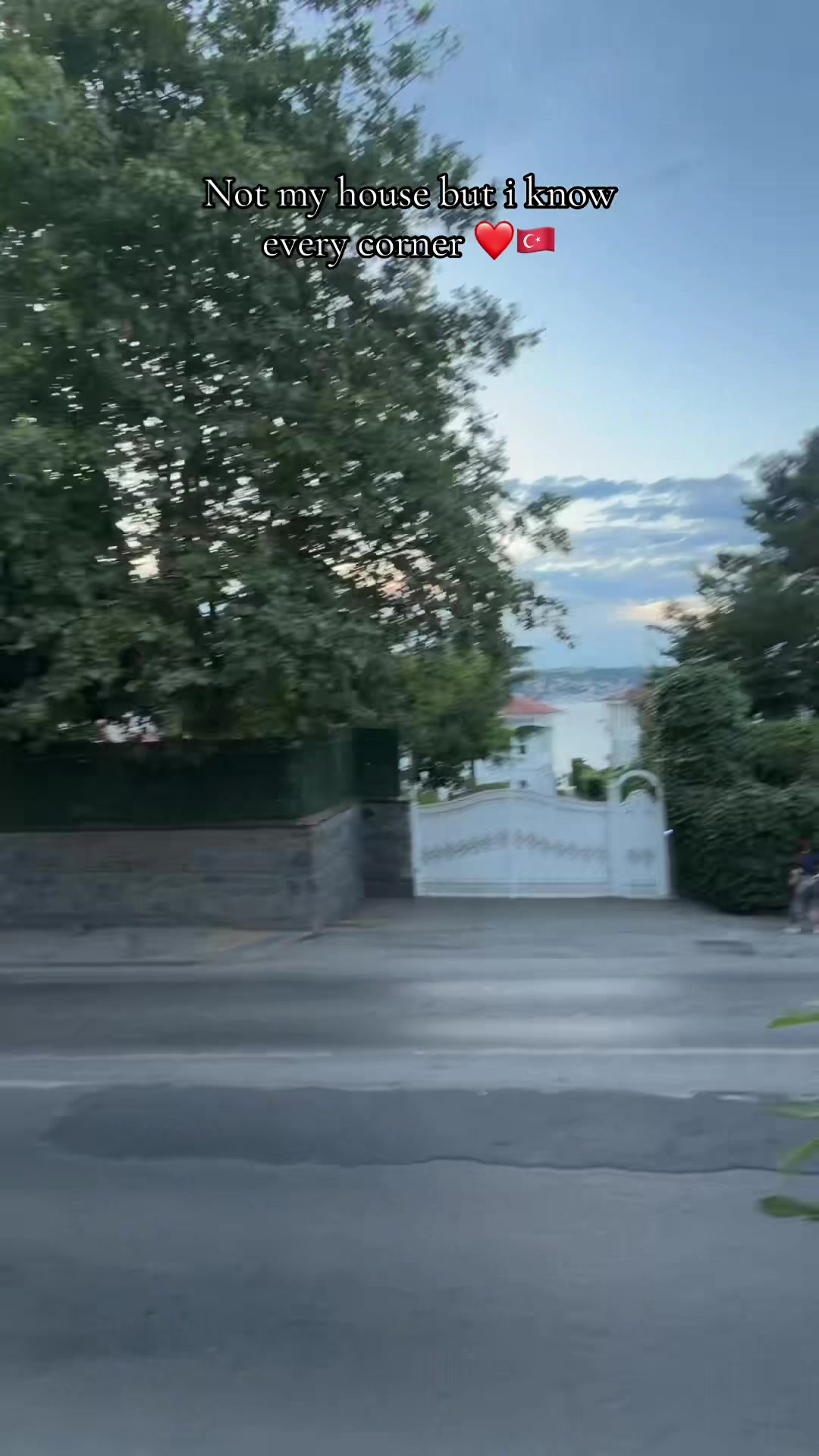 @Lojlojj🔮