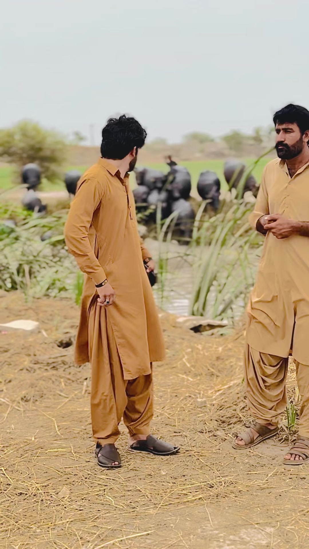 @Rashid Gujjar RG777