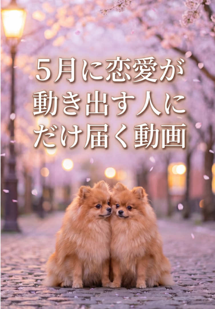 @マコト【本格占い・霊視占い】