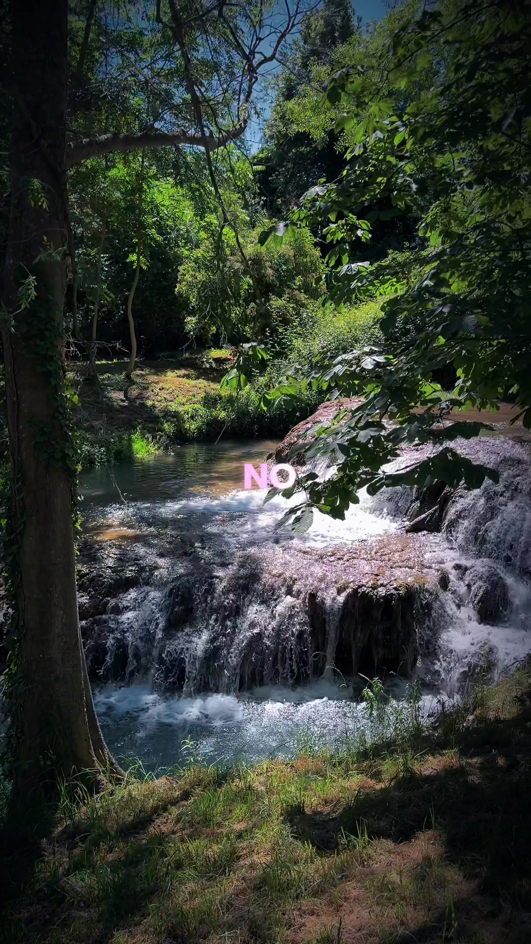 @🌺 𝓘𝓿𝓪𝓷𝓬𝓪 🌺