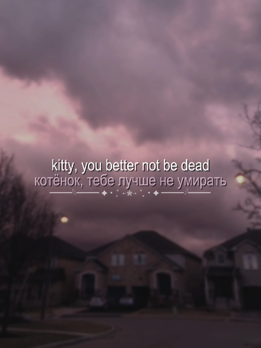 @'.𝙚́𝙪𝙥𝙝𝙤𝙧𝙞𝙖`🪷 ˎˊ˗
