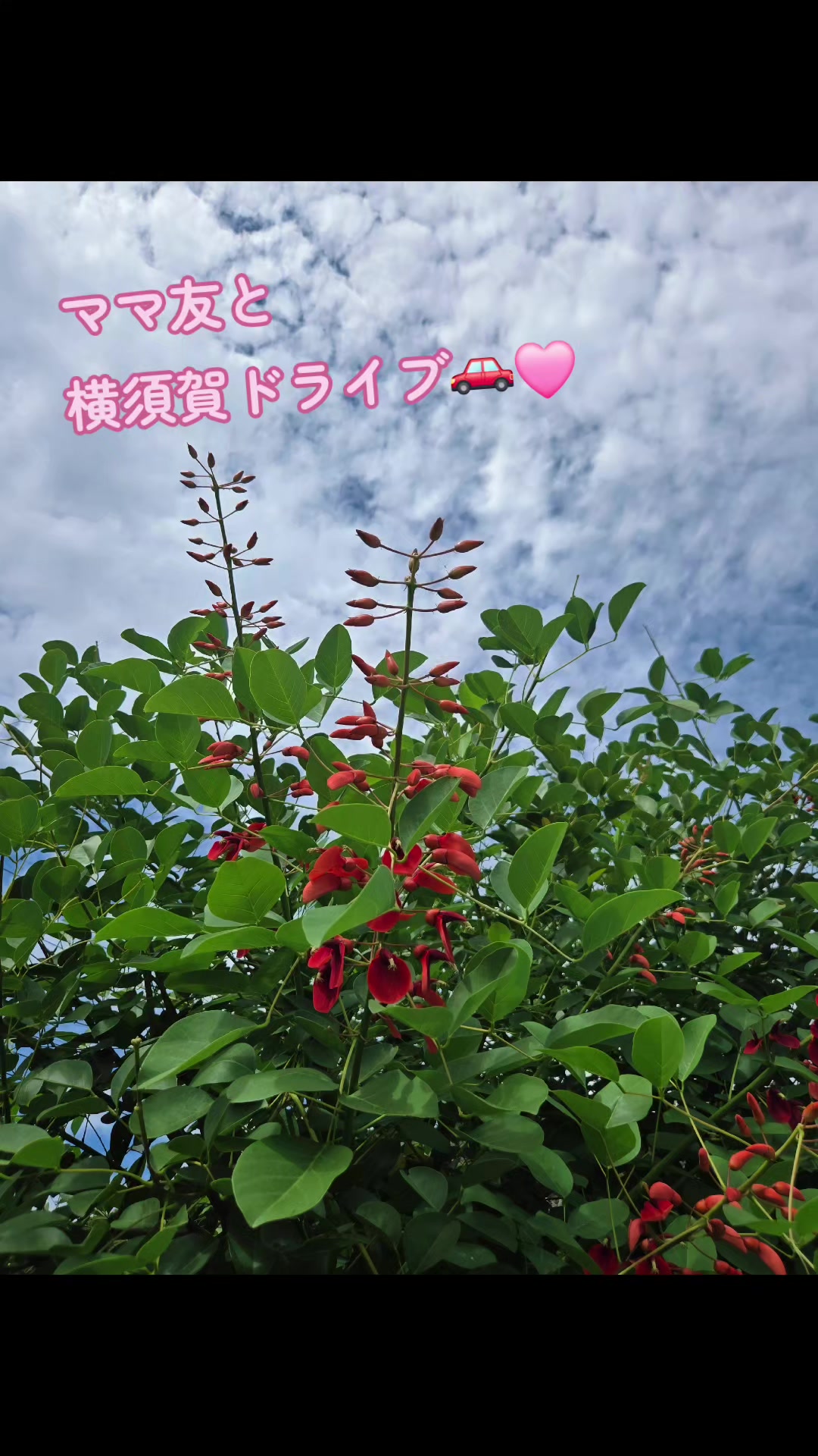 @マロン