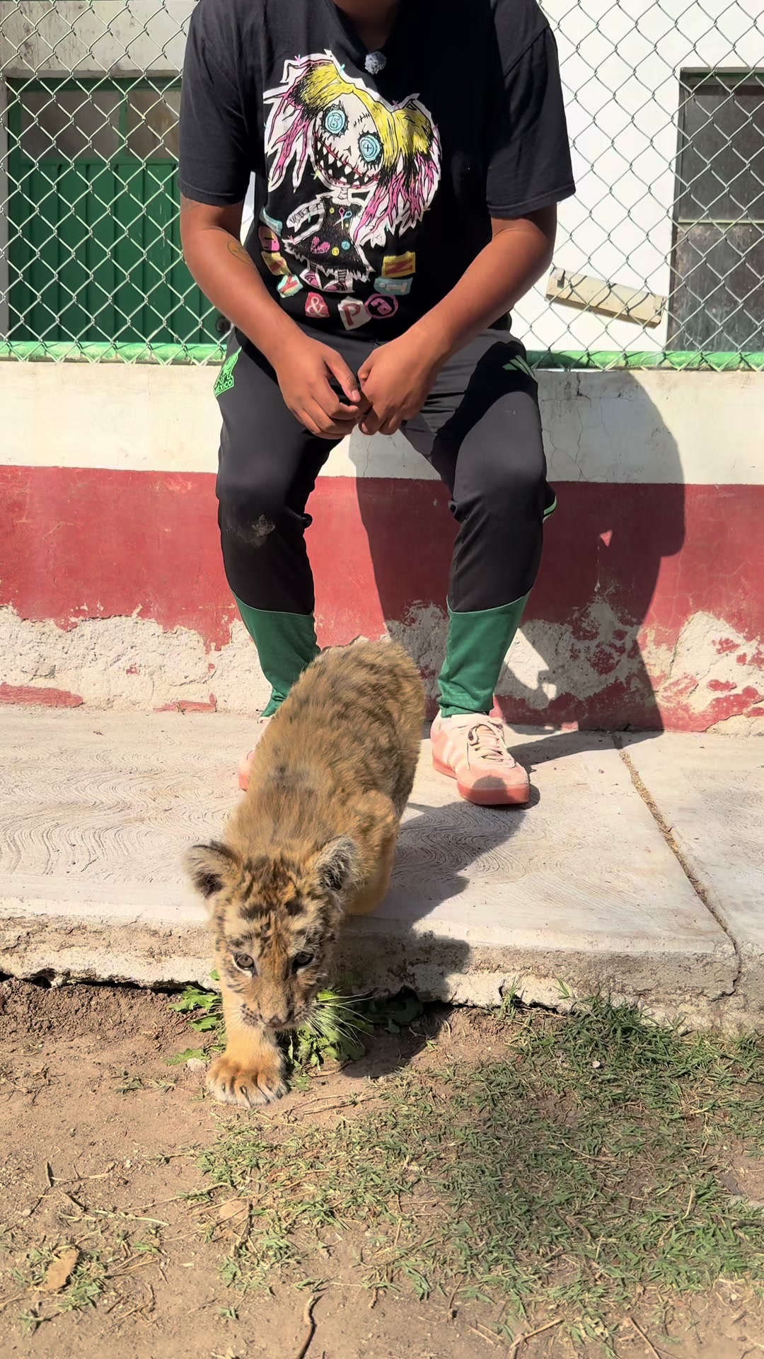 @Jair Herrera 🐆