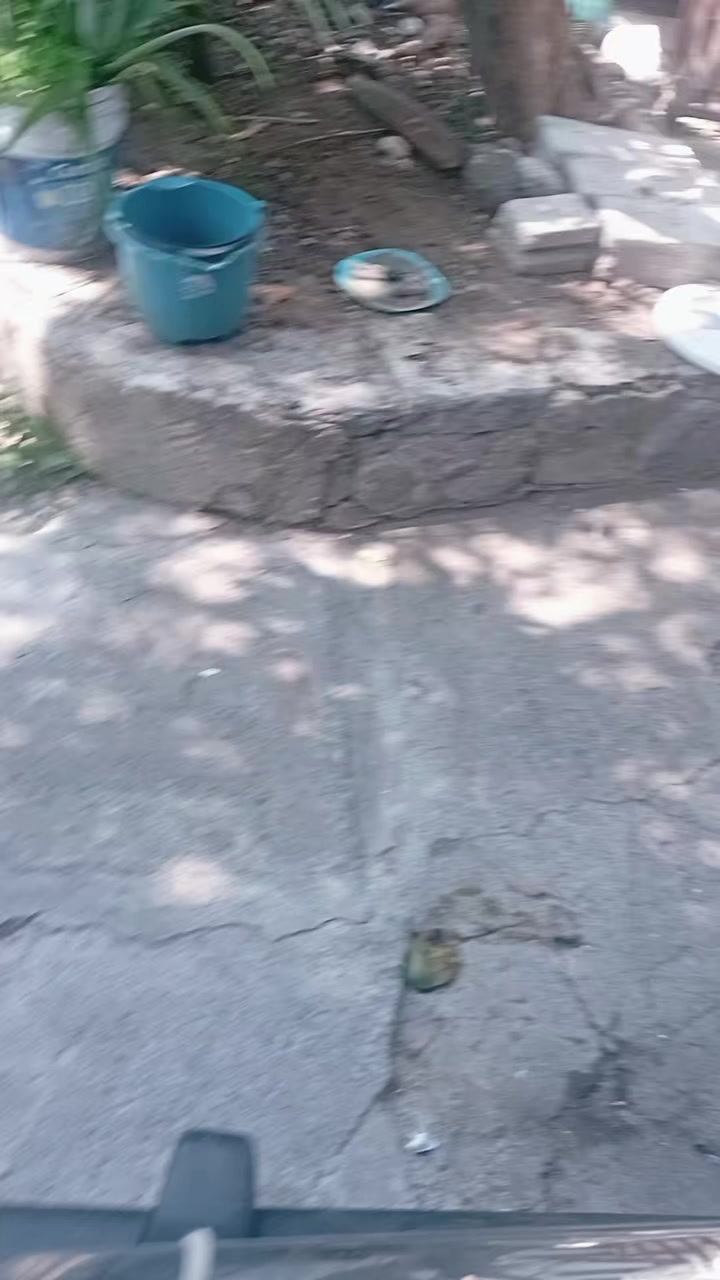 @~Ale~