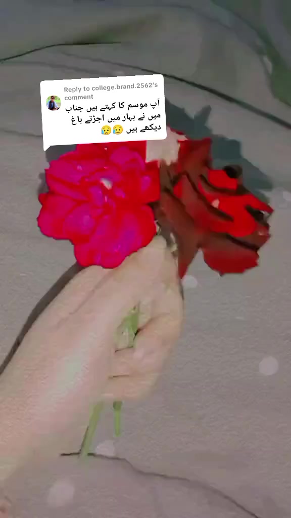 @Nori khan