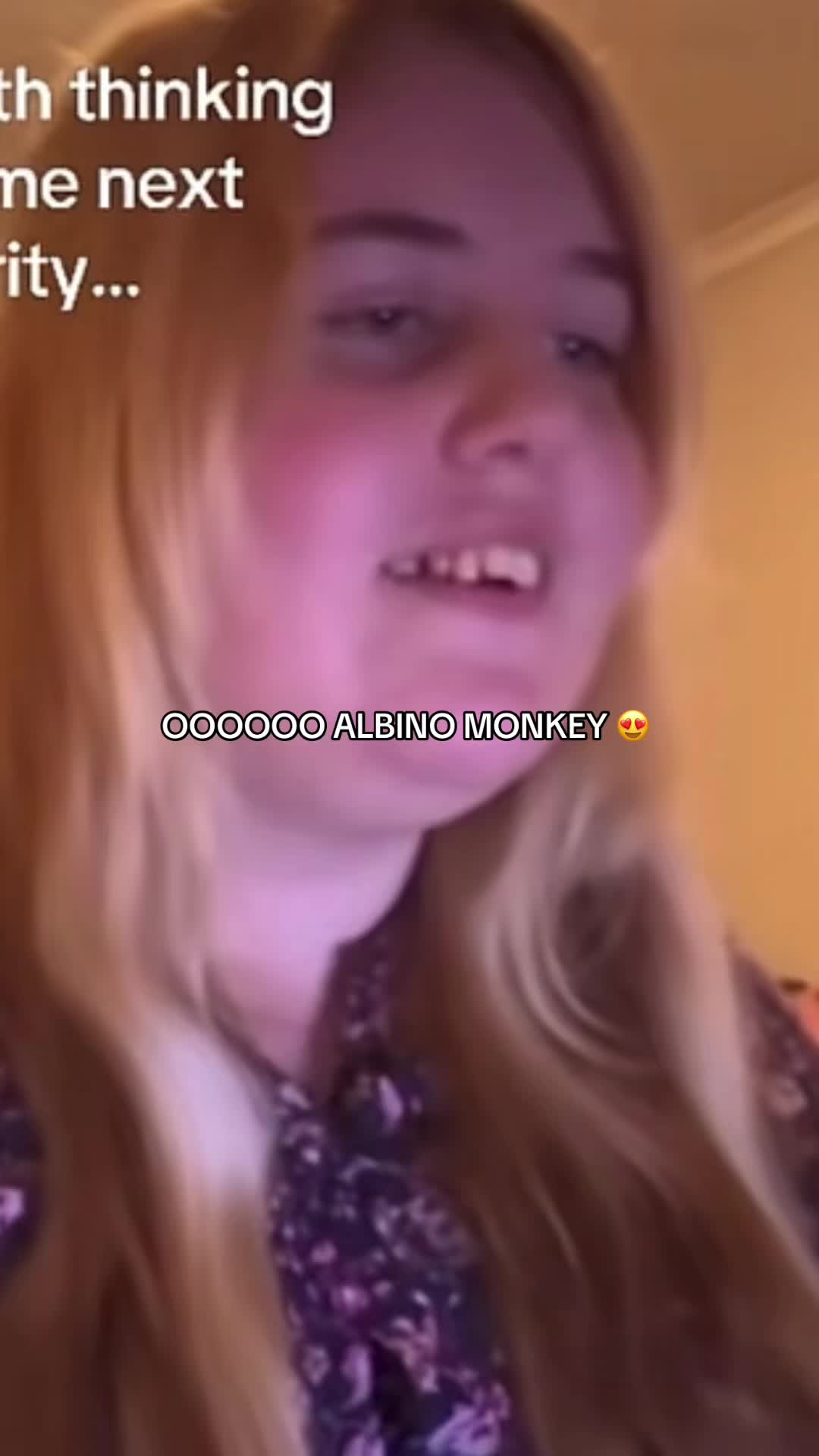 @Cutie