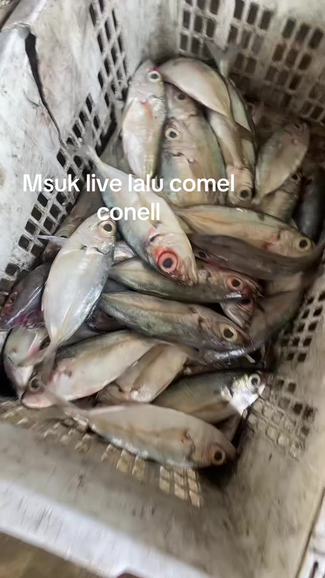 @ANAK PAAH