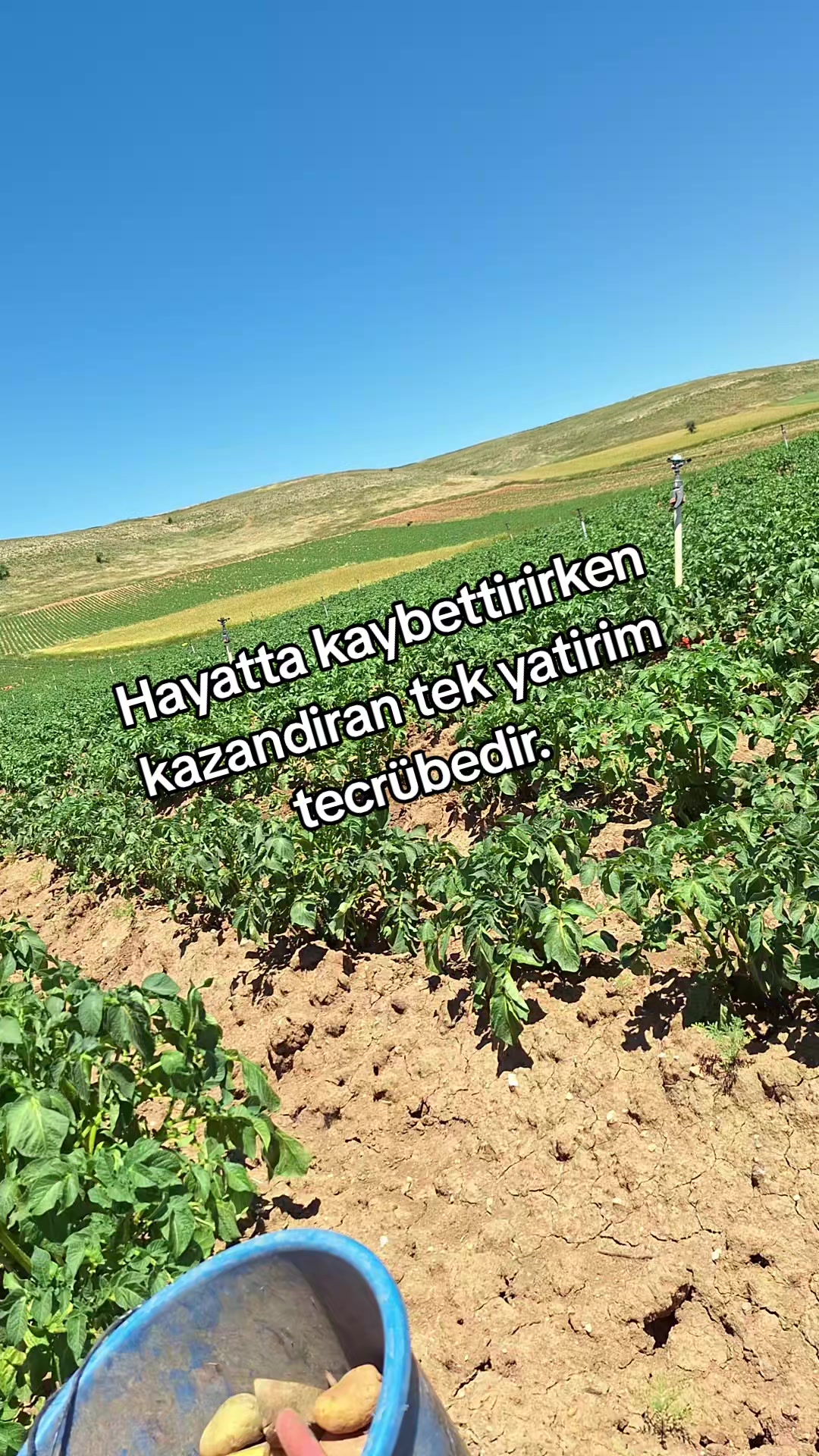 @Bet&uuml;l Halil sağ