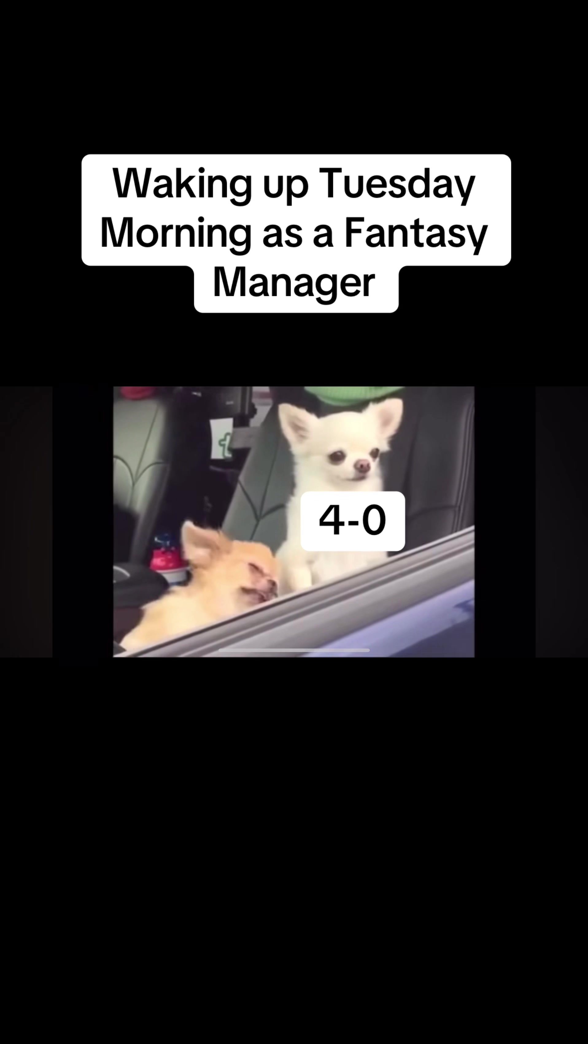 @VFF_Fantasy