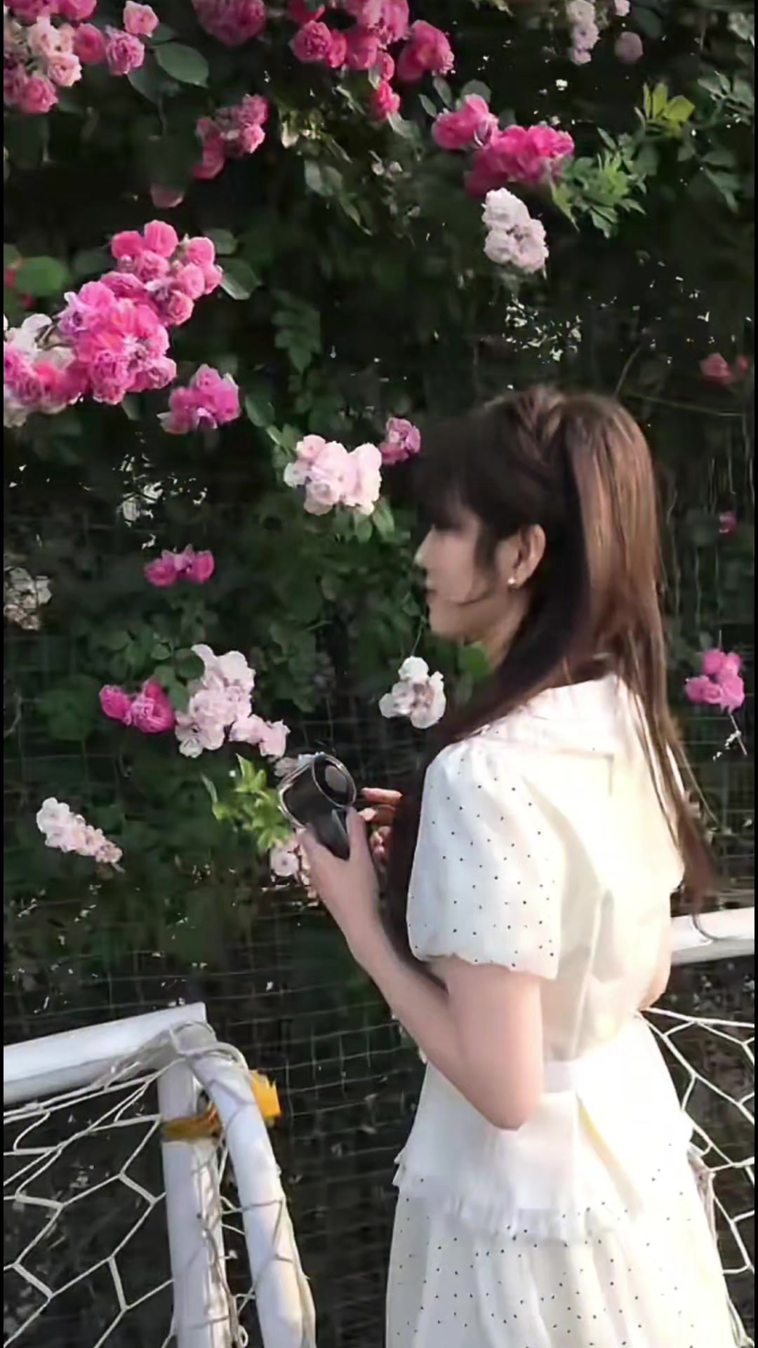 @阮小維🌸
