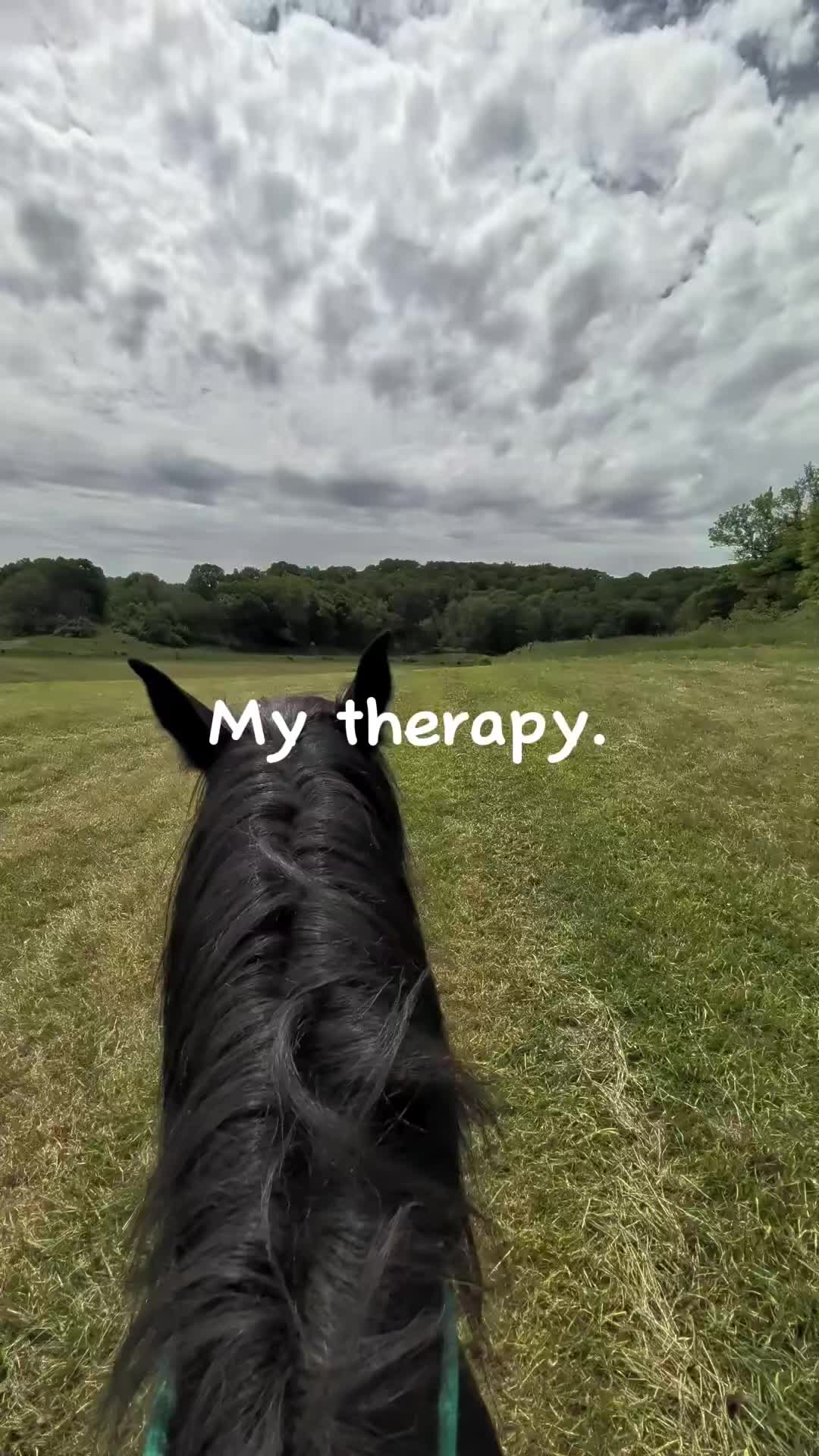 @RogueCowPonies