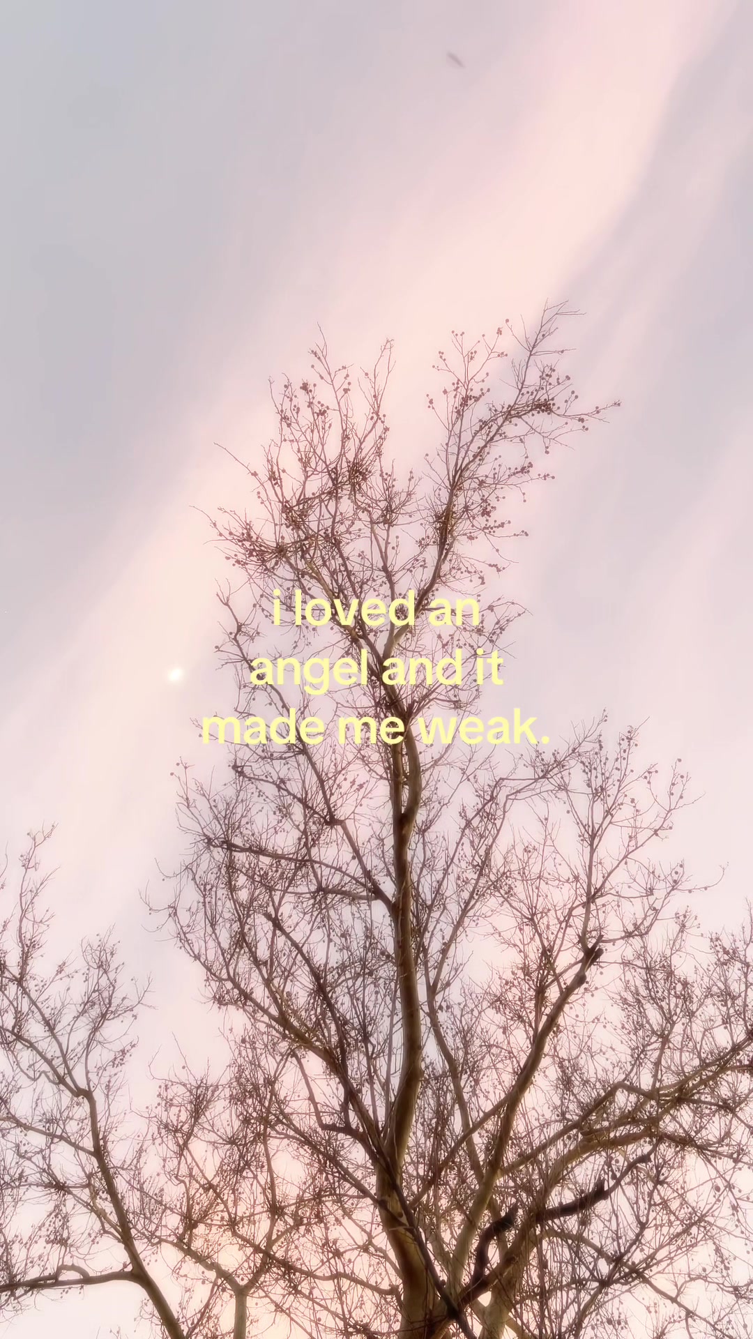 @⊹ ࣪ ˖ ୭˚.