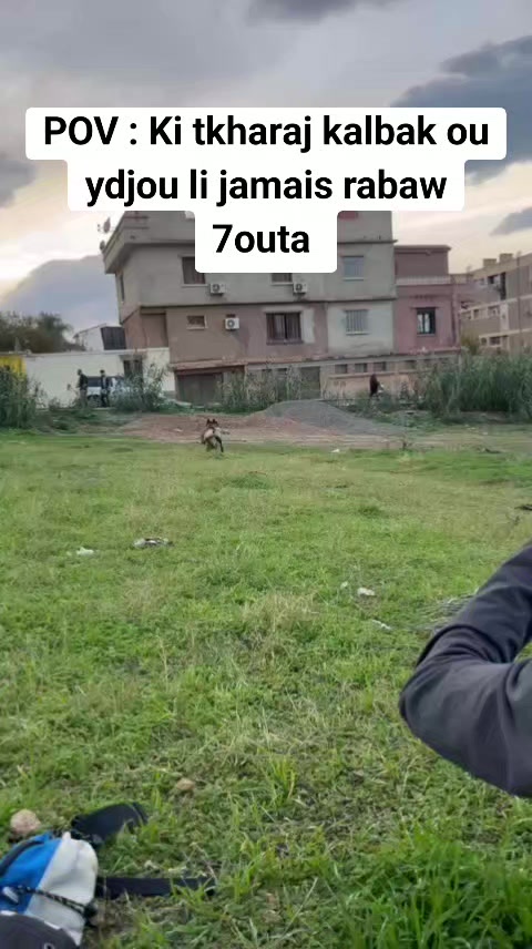 @adel adel adel