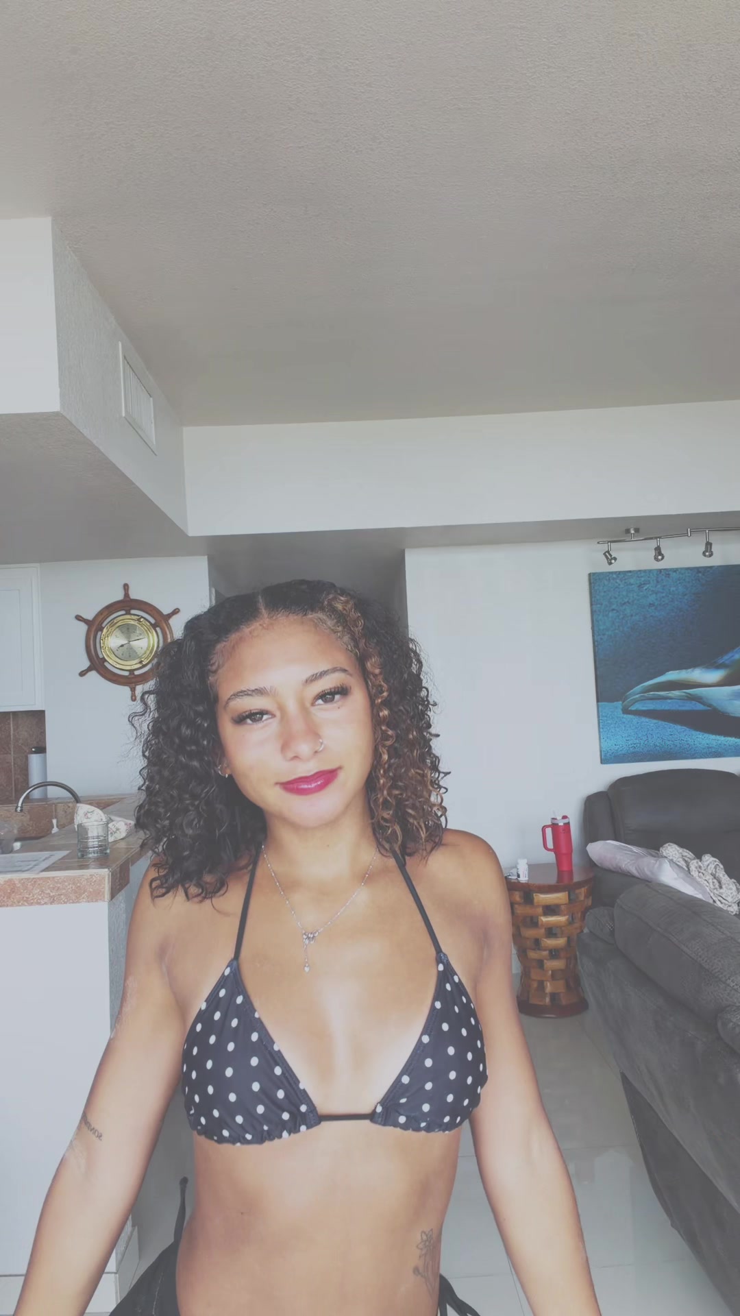 @strip4dev