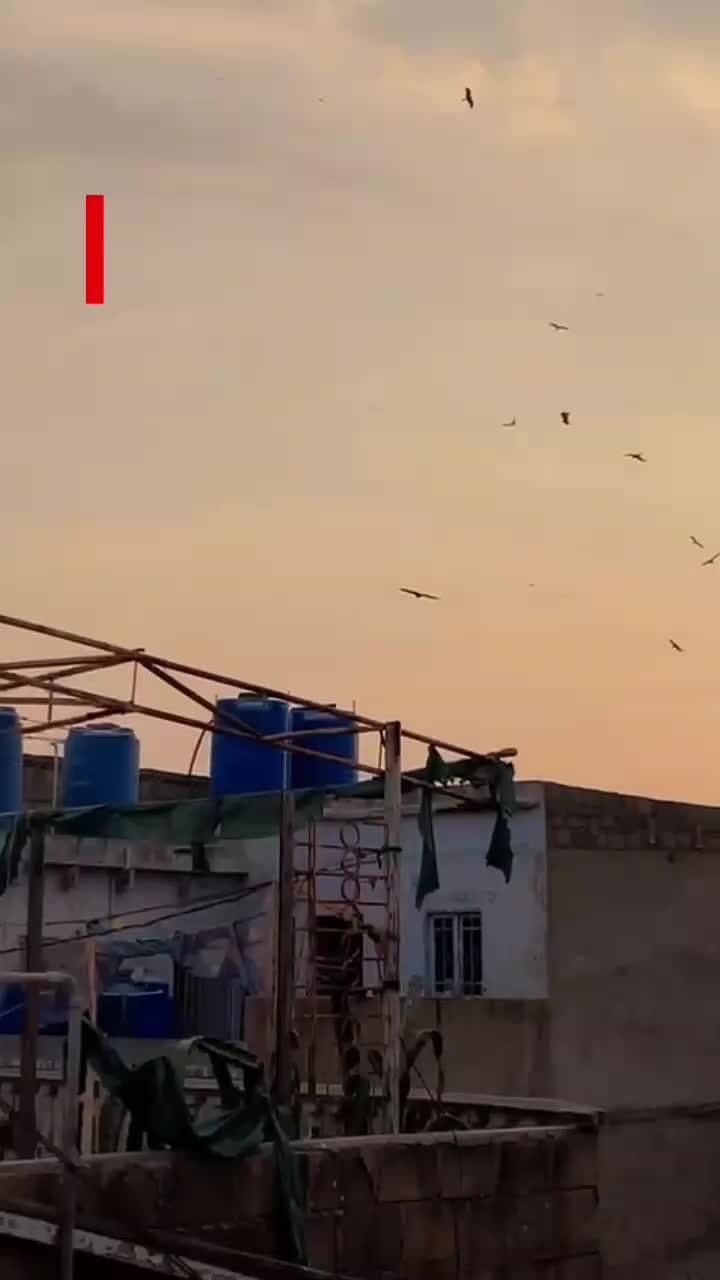 @🙌🫀عمار شیخ 🔥👀