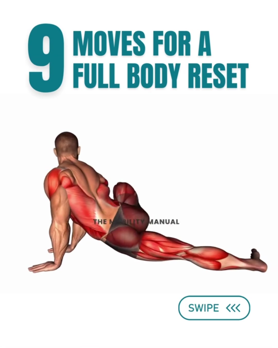 @PT Vitals | Mobility