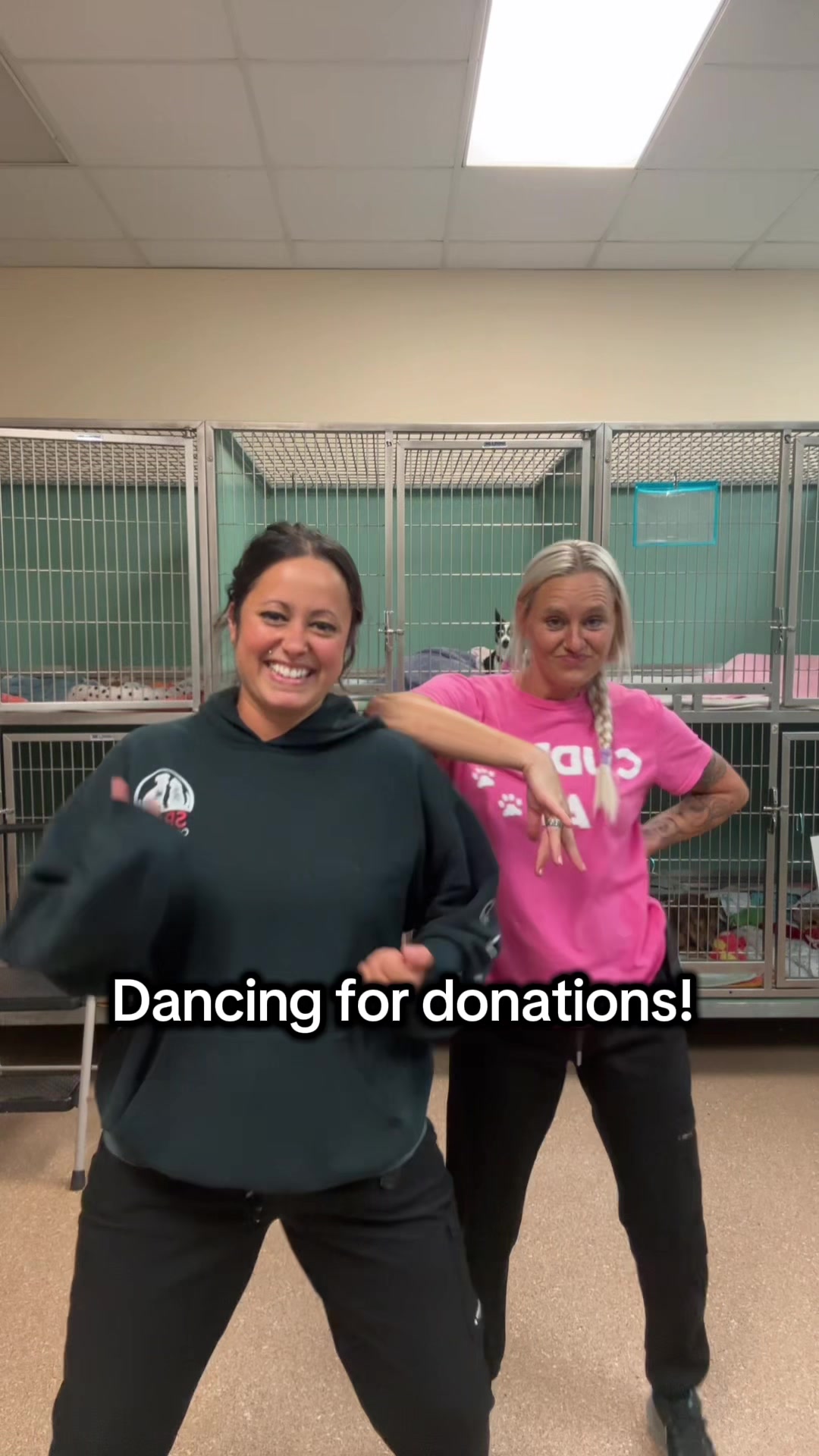 @2vettechs