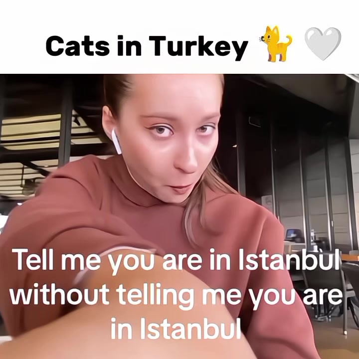@Cατнᴇʀιиe༄