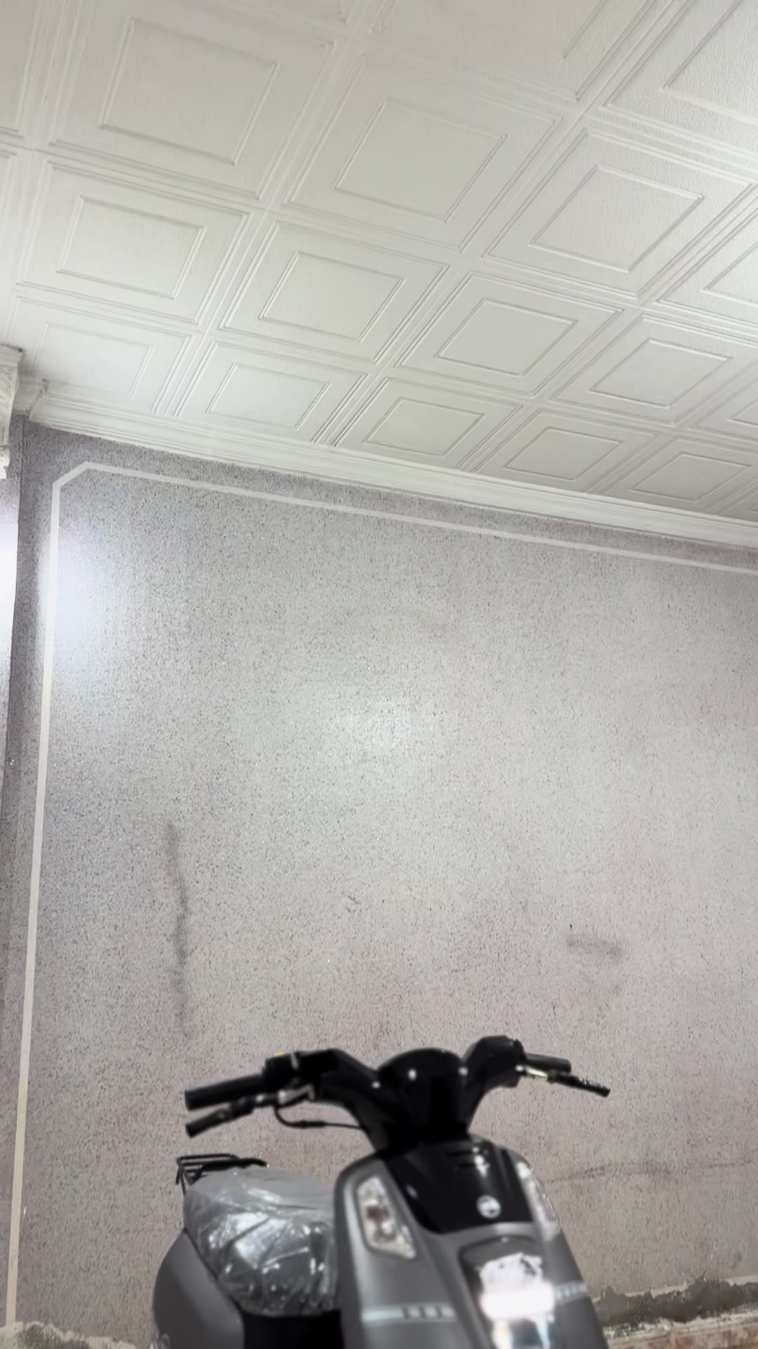@• ๐๐๐ข๐ ๐ง๐จ๐ค •