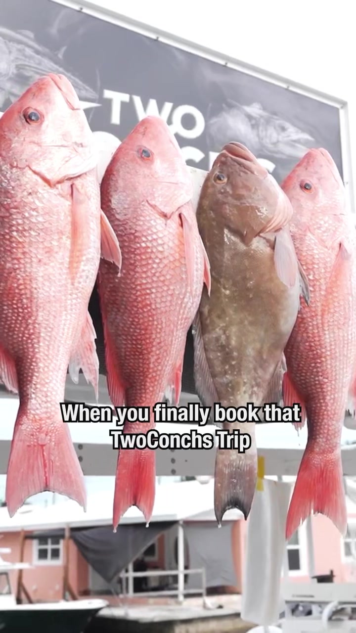 @TwoConchs