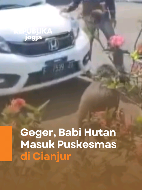 @Republika Jogja