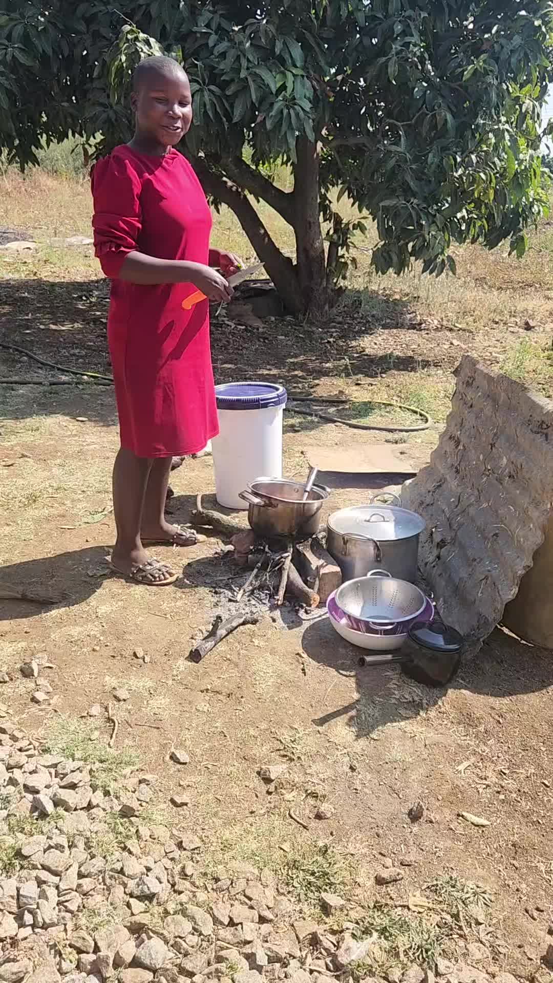 @shammy Moyo🇿🇼