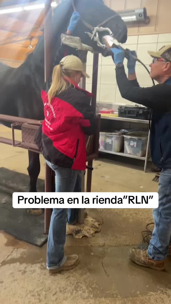 @Ranchoelnaturalito