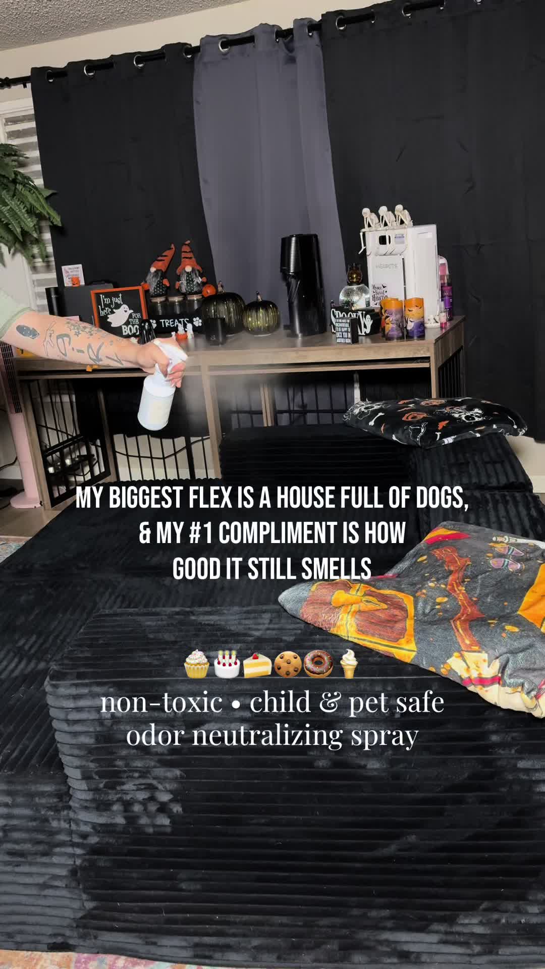 @kai•thedogmother🐾