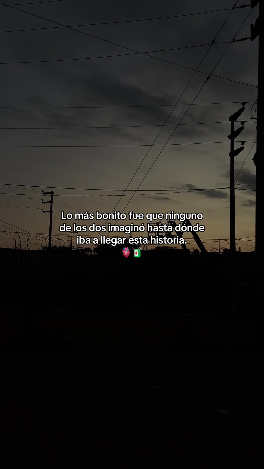 @Gatocix 🐱