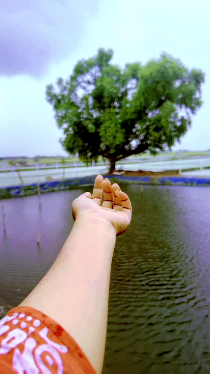 @🌸أروهي إسلام روحي🌸