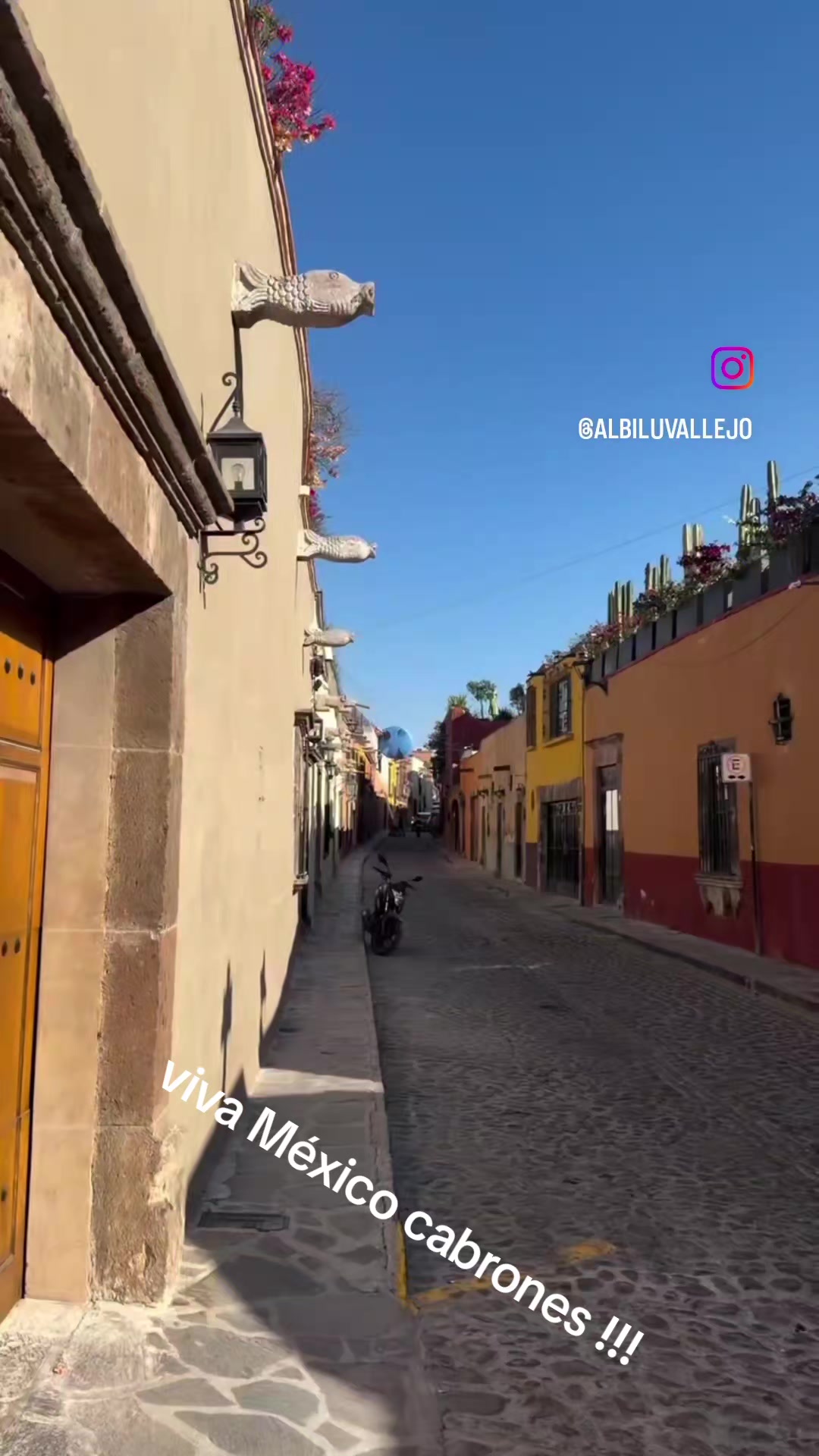 @Dany Tejeda