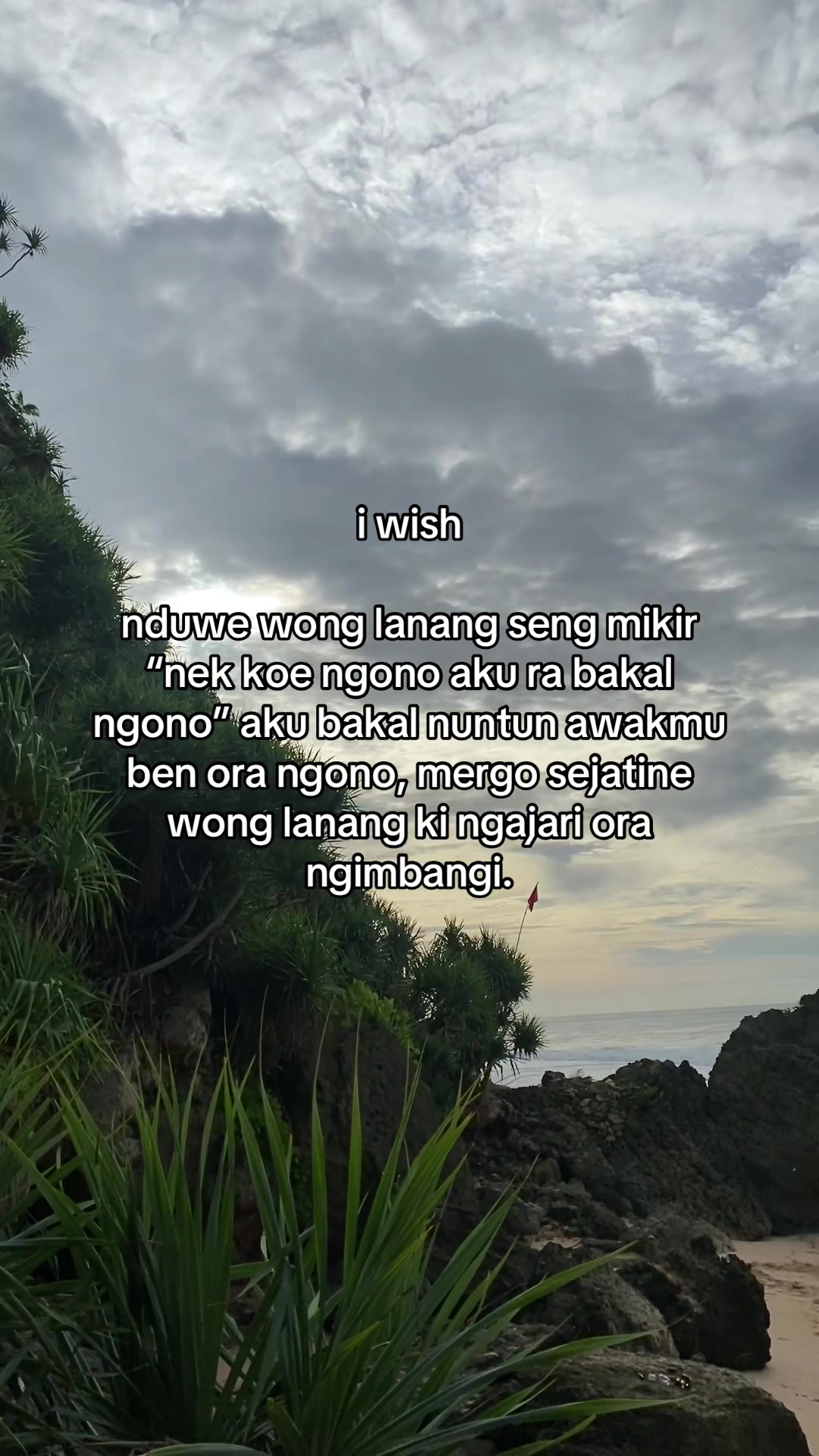 @alysa𐙚⋆.