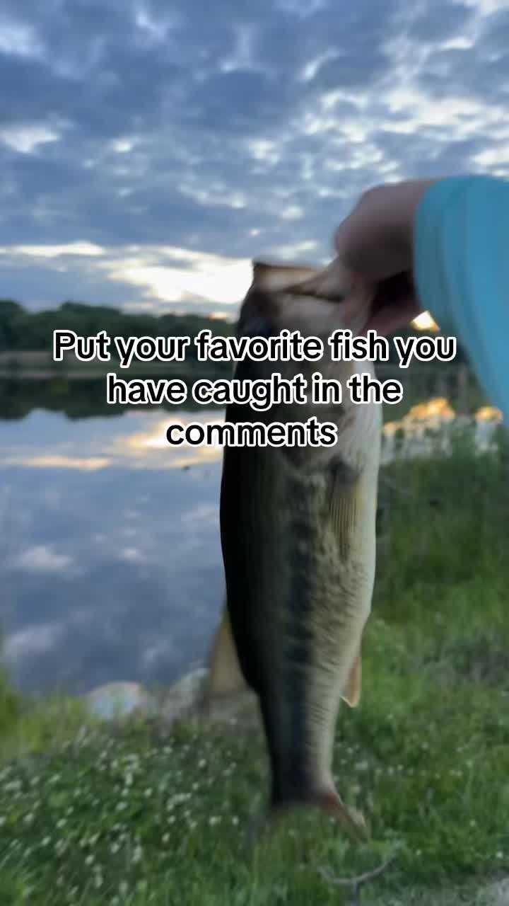 @Evan