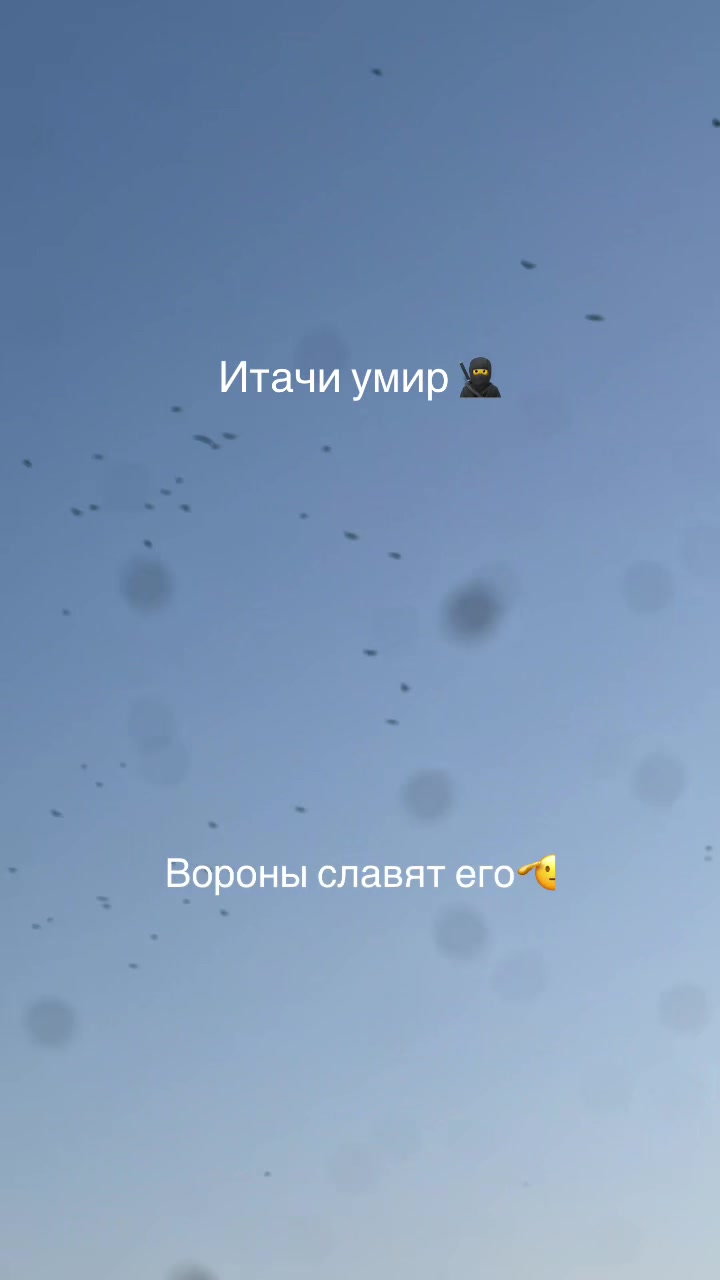 @zhchad