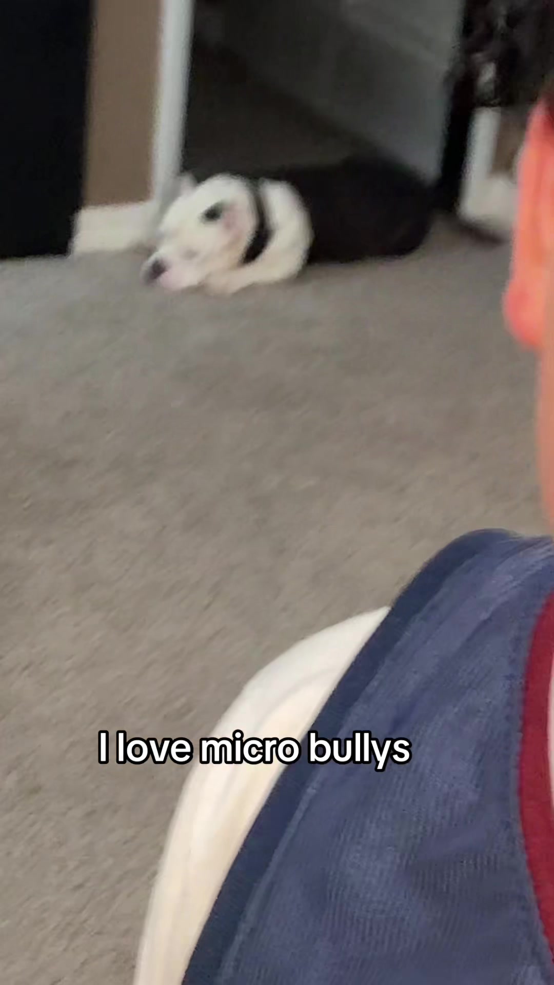 @lil nug