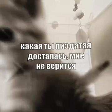 @тгк:Artemchik69 <3