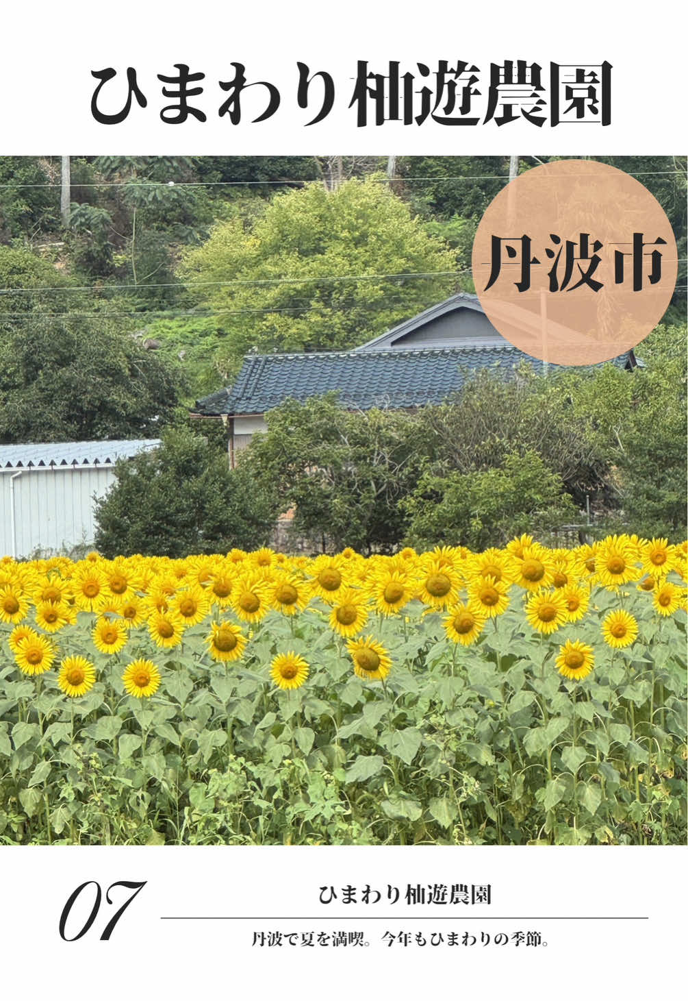 @飲みに行けない40代のランチ時々お酒。