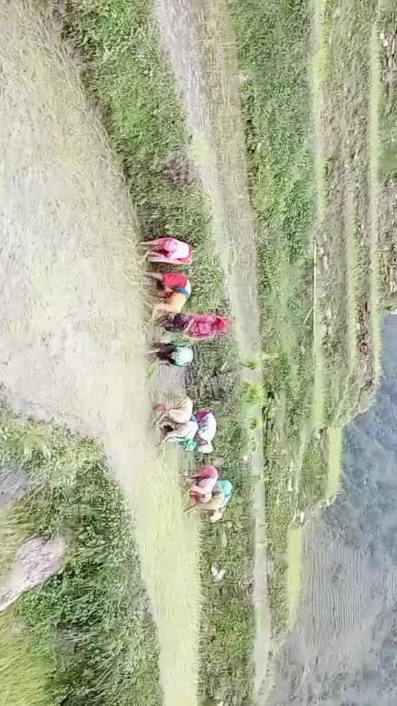 @Tr.Mahendra Shahi Thakuri