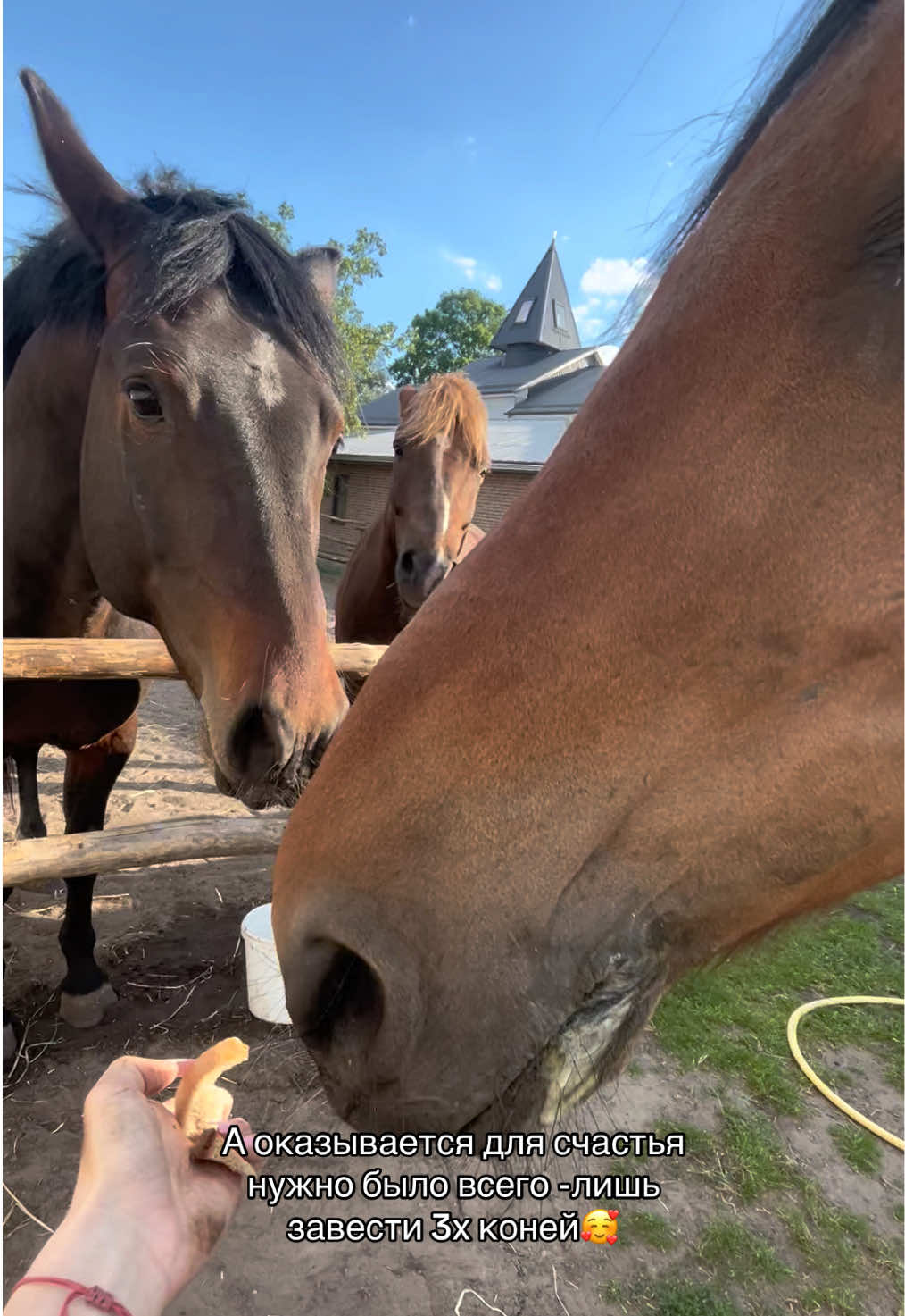 @❗Брест❗ 🐎Конюшня 🐎