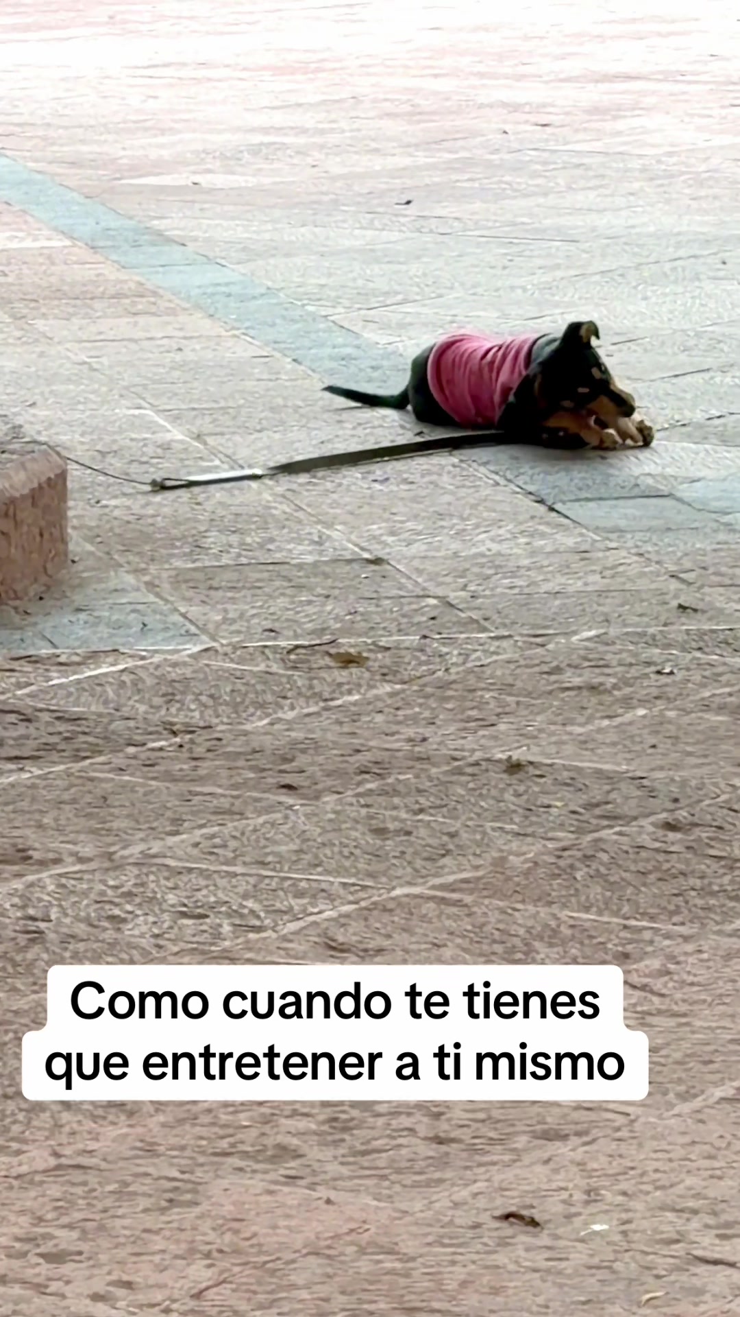 @Lic Daygut